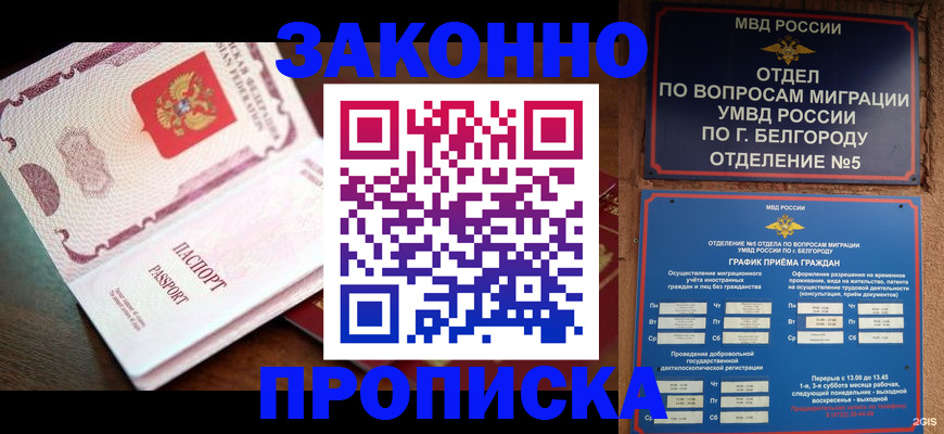 временная регистрация для школы в Шилке